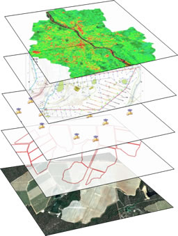 Mapping Graph